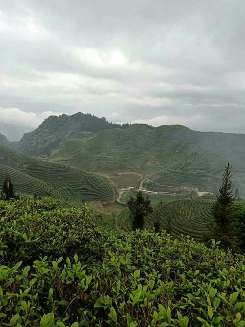 羊皮谷属于哪个省?麻栗坡八布冬季温度多少-图2 羊皮谷属于哪个省?麻栗坡八布冬季温度多少-图2