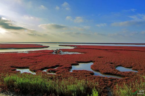 红海滩免门票政策?十二月盘锦红海滩门票多少钱一张-图2 红海滩免门票政策?十二月盘锦红海滩门票多少钱一张-图2