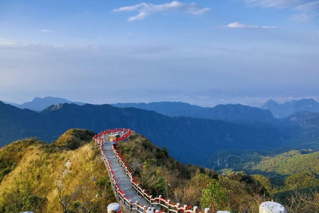 大明山海拔多少米高?广西大明山的温度是多少-图1 大明山海拔多少米高?广西大明山的温度是多少-图1