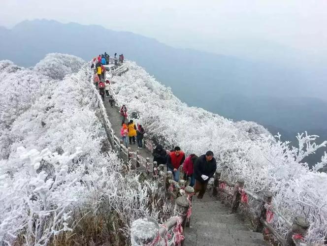 大明山海拔多少米高?广西大明山的温度是多少-图2 大明山海拔多少米高?广西大明山的温度是多少-图2