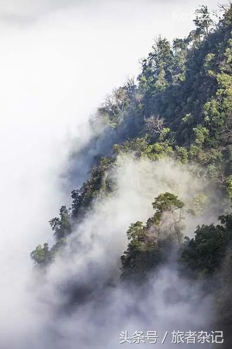 大明山海拔多少米高?广西大明山的温度是多少-图3 大明山海拔多少米高?广西大明山的温度是多少-图3