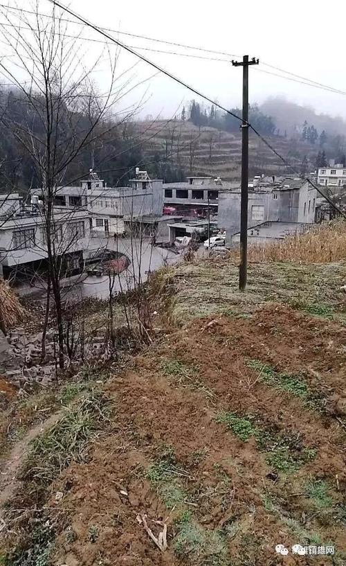 谁知道镇雄有多少乡镇?多大面积?镇雄到木卓有多少公里-图3 谁知道镇雄有多少乡镇?多大面积?镇雄到木卓有多少公里-图3