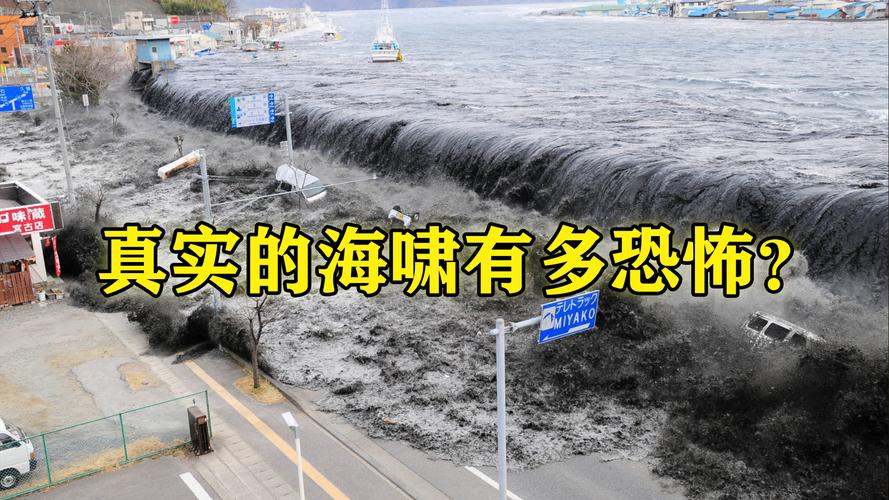 海啸可以到内陆多远?2011日本海啸有多少米-图1 海啸可以到内陆多远?2011日本海啸有多少米-图1