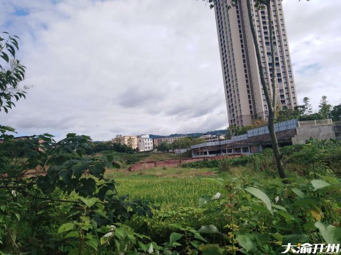 开县白鹤街道东华新宸楼盘?开州白鹤火电厂距开州多少-图1 开县白鹤街道东华新宸楼盘?开州白鹤火电厂距开州多少-图1
