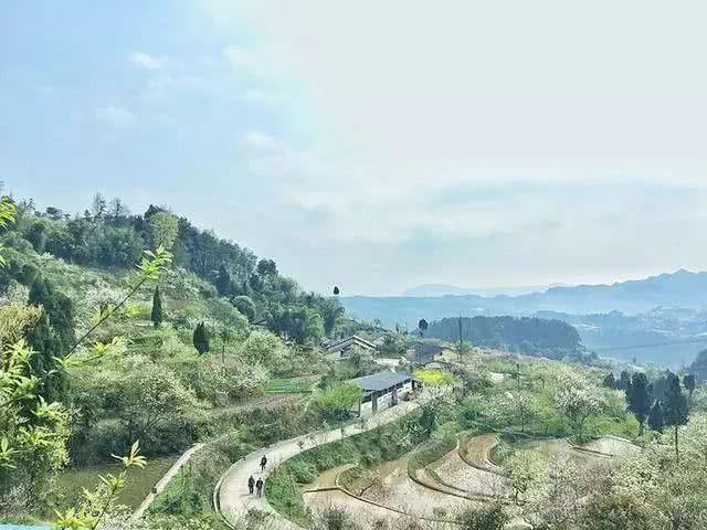 中国有几个永新村?綦江永新镇多少人口-图3 中国有几个永新村?綦江永新镇多少人口-图3