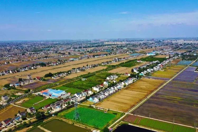 靖江规划哪十八个村庄你知道吗?鼎新有多少乡镇-图3 靖江规划哪十八个村庄你知道吗?鼎新有多少乡镇-图3