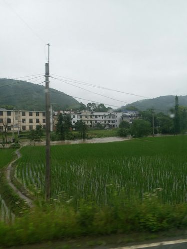 江西省萍乡市有几个县区?各县区有多少人口?人口密度是多少啊?闽清县东桥镇人口是多少-图3 江西省萍乡市有几个县区?各县区有多少人口?人口密度是多少啊?闽清县东桥镇人口是多少-图3