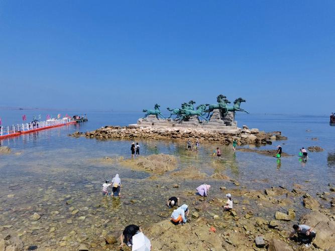 养马岛现在下海水凉吗?牟平历史最低温度是多少-图3 养马岛现在下海水凉吗?牟平历史最低温度是多少-图3