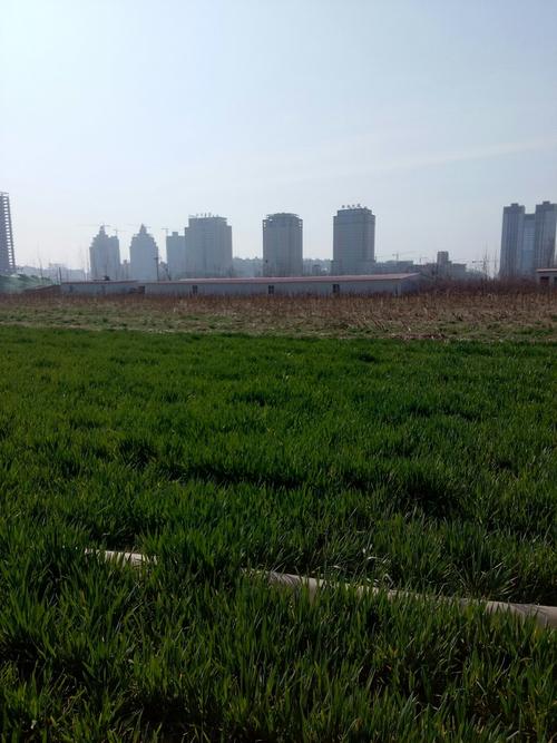 河南新郑市属于哪个市?新郑市今天多少度-图2 河南新郑市属于哪个市?新郑市今天多少度-图2