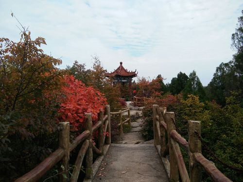 云明山风景区多高?今天淄川气压多少-图1 云明山风景区多高?今天淄川气压多少-图1