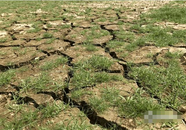干旱多久才能下雨?连续多少天无降雨判定为干旱-图1 干旱多久才能下雨?连续多少天无降雨判定为干旱-图1