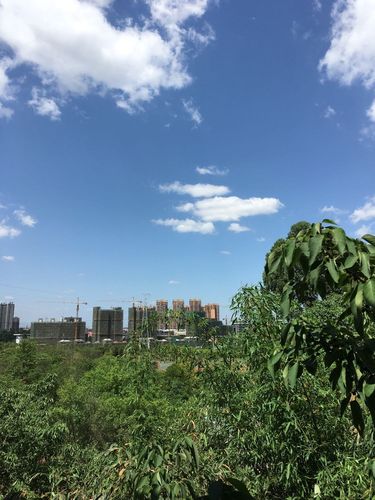 2020年眉山占地面积?今天仁寿温度多少度-图1 2020年眉山占地面积?今天仁寿温度多少度-图1