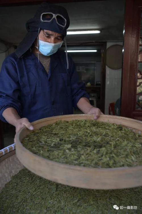 西湖龙井杀青温度?西湖的温度是多少-图1 西湖龙井杀青温度?西湖的温度是多少-图1