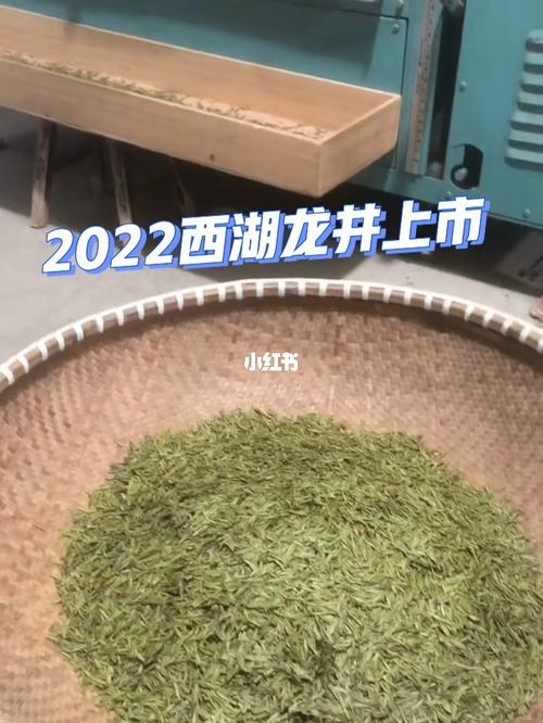 西湖龙井杀青温度?西湖的温度是多少-图2 西湖龙井杀青温度?西湖的温度是多少-图2
