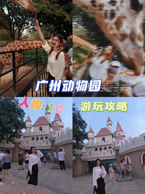 广州动物园周一人多吗?广州星期一多少度-图1 广州动物园周一人多吗?广州星期一多少度-图1