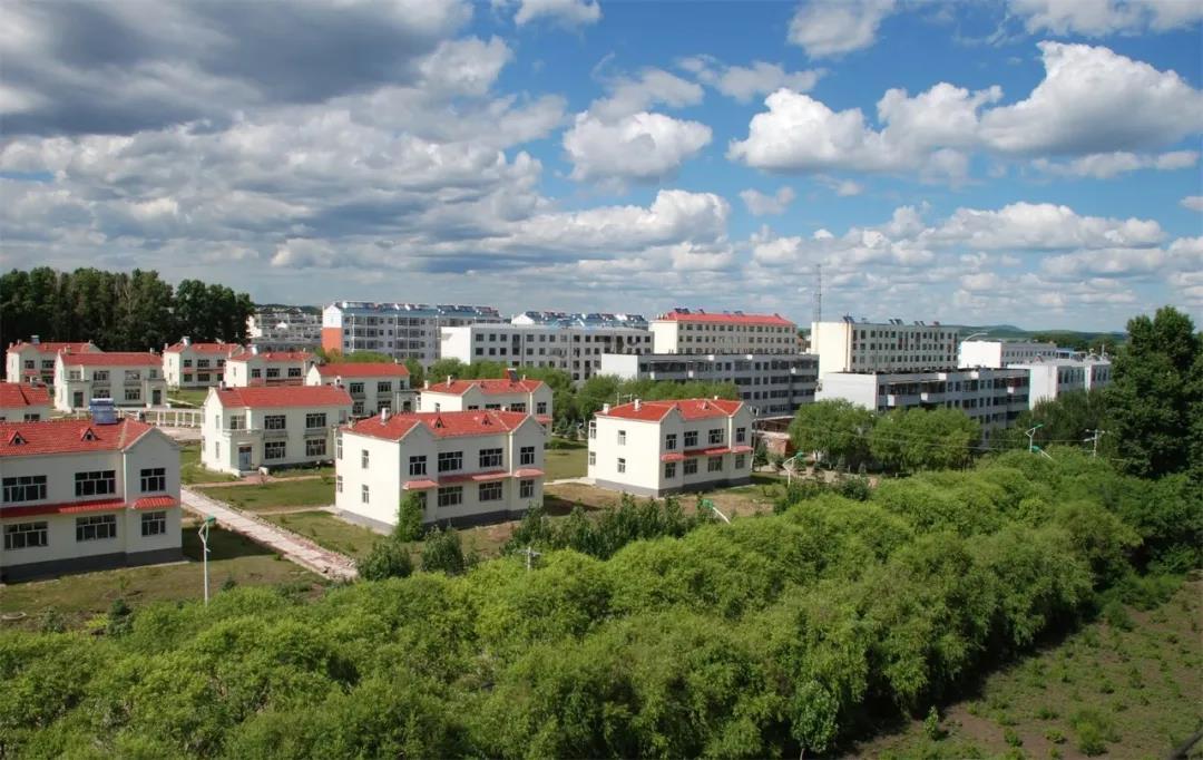 黑龙江农场大小排名?虎林市八五零农场房价多少钱一平方-图1 黑龙江农场大小排名?虎林市八五零农场房价多少钱一平方-图1