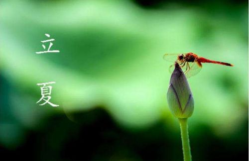 现在已经立夏节气还这么冷，什么时候才能升温？淮北多少月份才暖-图1