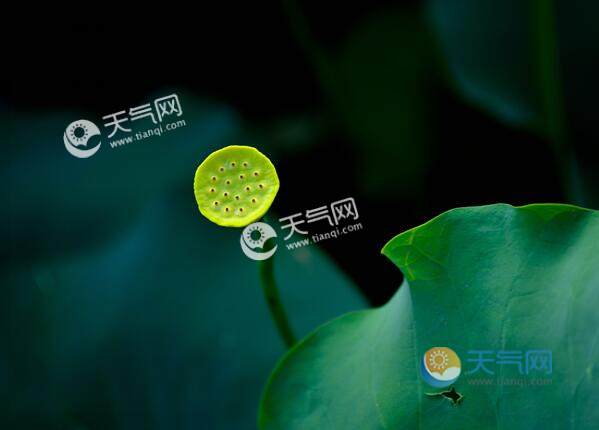 现在已经立夏节气还这么冷，什么时候才能升温？淮北多少月份才暖-图2