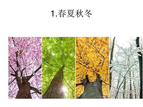 春夏秋冬各代表什么数字?春季到天气早多少度-图1 春夏秋冬各代表什么数字?春季到天气早多少度-图1