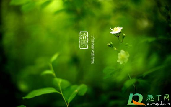 清明节的植物生长情况?北京清明节一般气温多少度-图1 清明节的植物生长情况?北京清明节一般气温多少度-图1