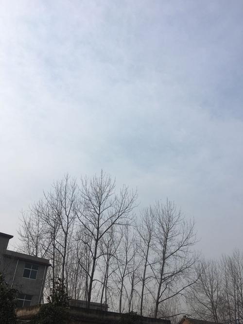 阜阳市海拔多少?阜阳天气预报明天温度多少度-图3 阜阳市海拔多少?阜阳天气预报明天温度多少度-图3