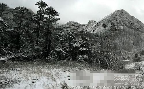 世界十大危险禁区?黑竹沟的温度是多少度-图2 世界十大危险禁区?黑竹沟的温度是多少度-图2