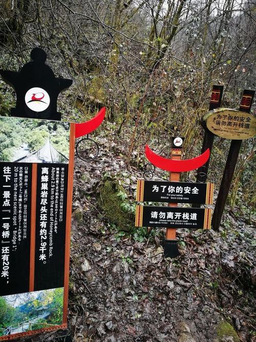 世界十大危险禁区?黑竹沟的温度是多少度-图3 世界十大危险禁区?黑竹沟的温度是多少度-图3