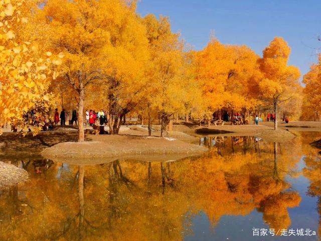 金塔红叶最佳时间?金塔县最高温度是多少-图3 金塔红叶最佳时间?金塔县最高温度是多少-图3