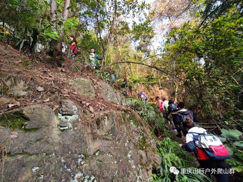 半山步道详细攻略？重庆歌乐山温度多少-图1