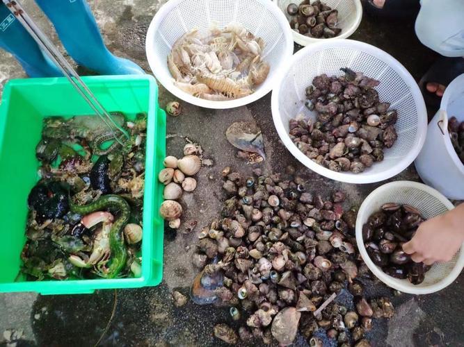 附近海边赶海抓海鲜有哪些地方?石浦天气今天多少度-图1 附近海边赶海抓海鲜有哪些地方?石浦天气今天多少度-图1