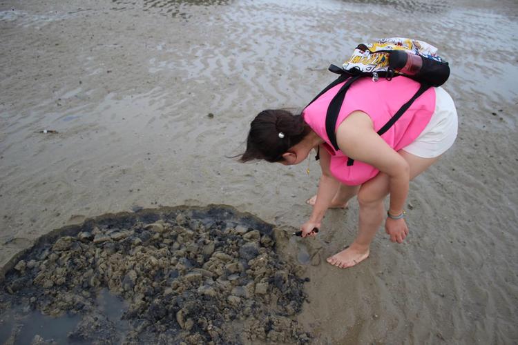 附近海边赶海抓海鲜有哪些地方?石浦天气今天多少度-图2 附近海边赶海抓海鲜有哪些地方?石浦天气今天多少度-图2