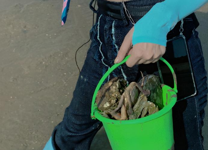 附近海边赶海抓海鲜有哪些地方?石浦天气今天多少度-图3 附近海边赶海抓海鲜有哪些地方?石浦天气今天多少度-图3