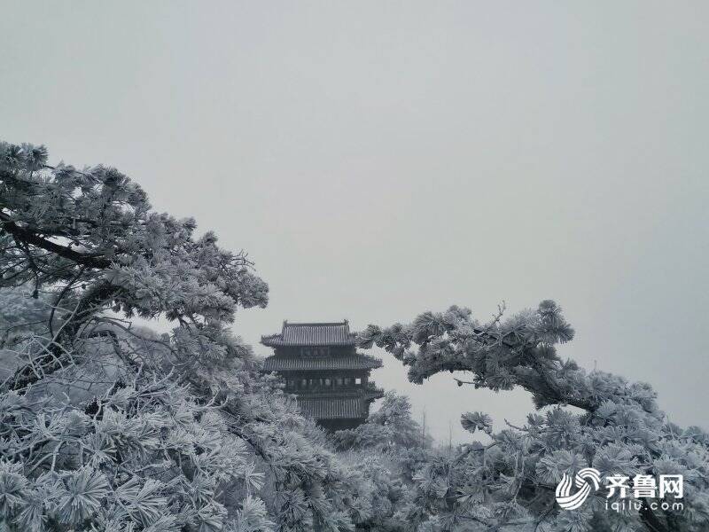 泰安一般什么时候下雪?泰安11月份的温度大概是多少-图3 泰安一般什么时候下雪?泰安11月份的温度大概是多少-图3