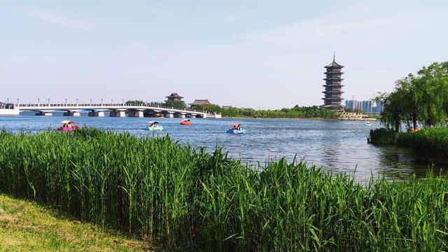 胶州少海湿地公园游玩攻略?胶州市动物园门票多少钱-图2 胶州少海湿地公园游玩攻略?胶州市动物园门票多少钱-图2