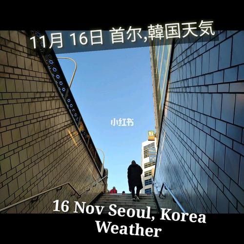 一般情况下,韩国冬天几月最冷?12月的韩国温度是多少-图3 一般情况下,韩国冬天几月最冷?12月的韩国温度是多少-图3
