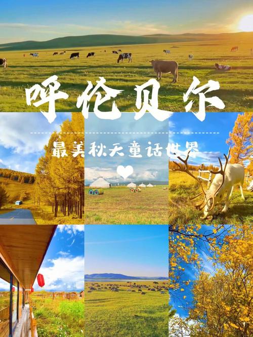 10月还能去呼伦贝尔吗?十月份的呼伦贝尔有多少度-图1 10月还能去呼伦贝尔吗?十月份的呼伦贝尔有多少度-图1