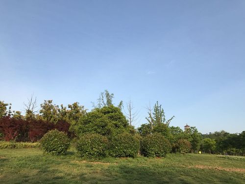 蚌埠天气预报?怀远天气预报多少度-图1 蚌埠天气预报?怀远天气预报多少度-图1