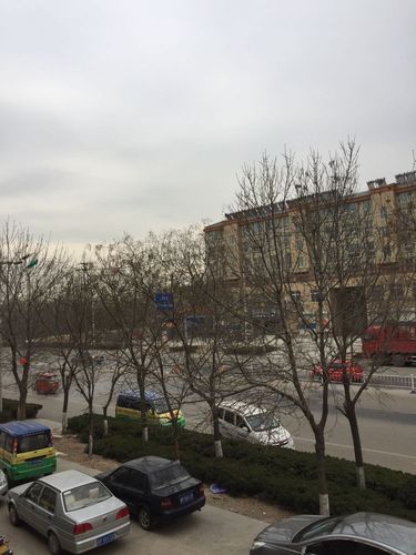 聊城市有几个县？东昌府区气温是多少-图1