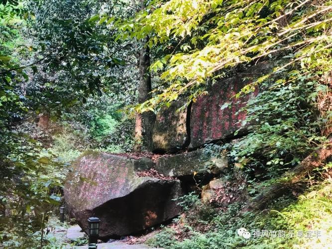宜丰洞山门票多少?宜春室内空气质量多少钱-图2 宜丰洞山门票多少?宜春室内空气质量多少钱-图2