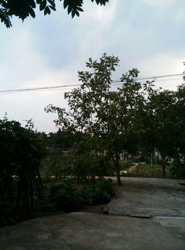 德阳市中江县有几个镇?德阳到双东多少钱-图3 德阳市中江县有几个镇?德阳到双东多少钱-图3