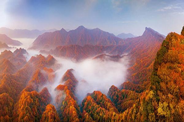 光雾山五月适合去吗?光雾山年平均气温是多少-图1 光雾山五月适合去吗?光雾山年平均气温是多少-图1