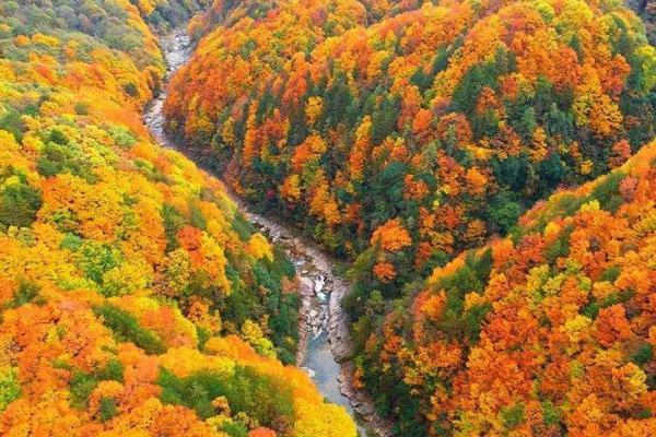 光雾山五月适合去吗?光雾山年平均气温是多少-图2 光雾山五月适合去吗?光雾山年平均气温是多少-图2