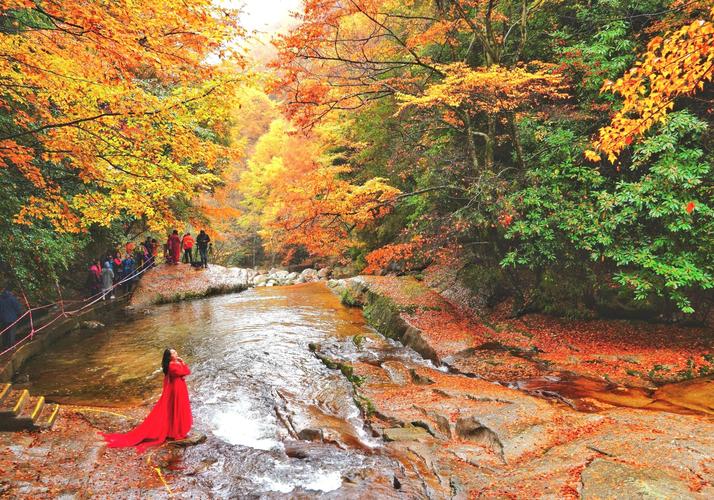 光雾山国际红叶节天气预报?冬天光雾山温度多少-图1 光雾山国际红叶节天气预报?冬天光雾山温度多少-图1