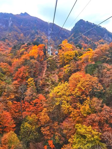 光雾山国际红叶节天气预报?冬天光雾山温度多少-图3 光雾山国际红叶节天气预报?冬天光雾山温度多少-图3