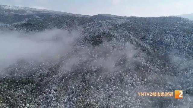 昭通最高海拔?云南昭通温度现在多少度-图2 昭通最高海拔?云南昭通温度现在多少度-图2