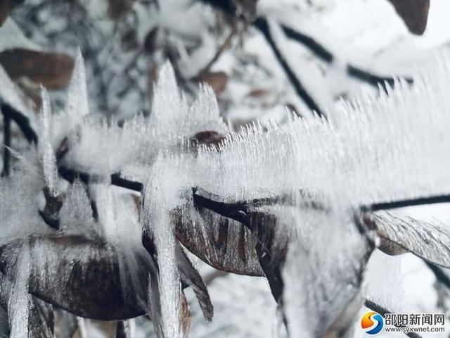 邵阳为什么突然会下雪?邵阳现在的温度是多少-图3 邵阳为什么突然会下雪?邵阳现在的温度是多少-图3
