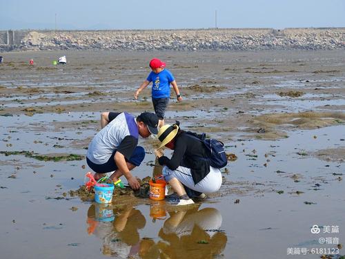 最近赶海地方推荐?宁波收听渔场预报电话是多少-图2 最近赶海地方推荐?宁波收听渔场预报电话是多少-图2