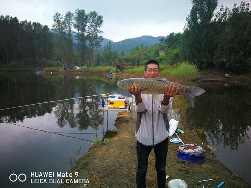天津钓大鱼的地方?东丽明天气温多少-图1 天津钓大鱼的地方?东丽明天气温多少-图1