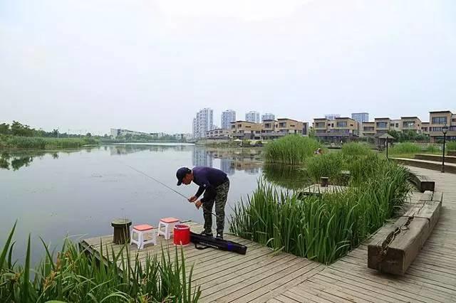 天津钓大鱼的地方?东丽明天气温多少-图2 天津钓大鱼的地方?东丽明天气温多少-图2