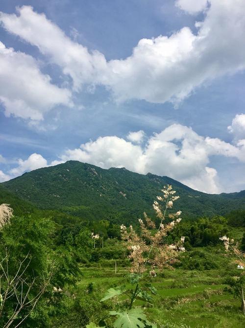 五月份适合爬什么山?蕲春这个天气穿多少衣服合适-图1 五月份适合爬什么山?蕲春这个天气穿多少衣服合适-图1